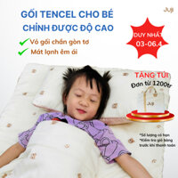 Gối Cho Em Bé, Gối Cho Bé 1 Tuổi, Lụa Tencel Mát Mềm, Gối Ngủ Cho Bé Mầm Non Cao Cấp, Phong Cách Hàn Quốc