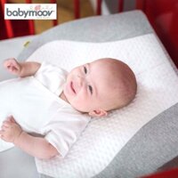 Gối chống trào ngược baby moov