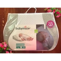 Gối Chống Trào Ngược BabyMooV