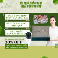 Gối Chườm Muối Ngải Cứu Làm Nóng Bằng Điện, Túi Chườm Nóng Bằng Muối Ngải Cứu Giảm Đau Mỏi Lưng Cổ Vai Bụng Kinh.