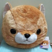 Gối đầu gấu bông shinba AMUSE Nhật bản