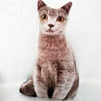 Gối đồ chơi nhồi bông mèo 3D trẻ em