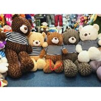 gối gấu teddy 1m5