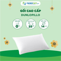 Gối Gòn Dunlopillo cao cấp Kích thước 74x48 cm