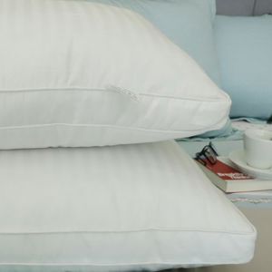 Ruột gối Hometex 50x70cm