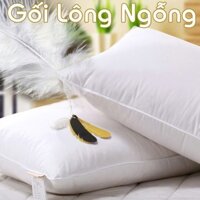 Gối lông ngỗng cao cấp  - Hàng VN Xuất khẩu Nhật