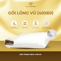 Gối lông vũ ( 40×60)