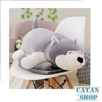 Gối Mền Chó Husky 3 Trong 1, Nỉ Nhung Cực Mịn, Bộ Chăn Gối Văn Phòng, Gấu Bông Kèm Mền - Husky