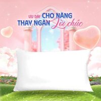 Gối Nằm Bông Gòn Ép Hơi Vạn Xuân
