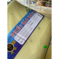 gối nằm cao su non cao cấp loại tốt 4x6 bảo hành 5 năm