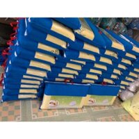 Gối Nằm Cao Su Non 💥 HÀNG CAO CẤP 💥 Chiếc Gối 40x60 cm Hỗ Trợ Tối Ưu cho Giấc Ngủ Chất Lượng