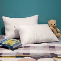 Gối nằm ép hơi khổ 40x60