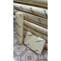 Gối năm, gối ôm cao su non Thắng Lợi