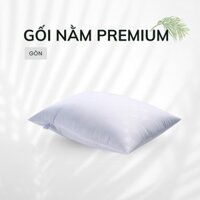Gối Nằm Premium (Cái) - Chăn Ga Gối Nệm TONYBED