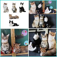 Gối ném in hình mèo CBY Cotton Mềm mại và thoải mái Đệm đồ chơi có mắt 3D