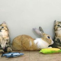 Gối ôm 3d con mèo 55cm