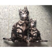 GỐI ÔM 3D MÈO NGỒI CHO BÉ CƯNG NHÀ BẠN GỐI ÔM CHO BÉ NHÀ BẠN RẤT THOẢI MÁI RẤT AN TOÀN