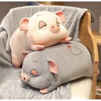 Gối ôm Heo mắt híp thú nhồi bông mềm mịn [70 cm], quà tặng ý nghĩa