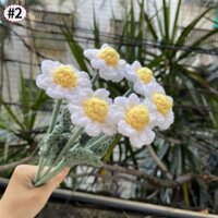 Gói sẵn Bó 5 bông cúc baby DIY dệt kim handmade móc tay xinh xắn làm quà tặng 20/10, 8/3, valentime, sinh nhật ý nghĩa