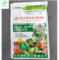 Gói Thuốc trừ bệnh RoriGold 720WP Vua nấm bệnh, Đặc trị sương mai, thán thư, vàng lá, thối rễ, Gói 30G