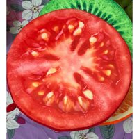 gối trái cây 3d - cà chua