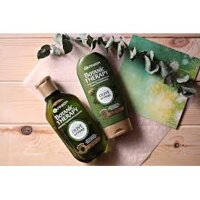 Gội xả GARNIER BOTANIC THERAPY OLIVE