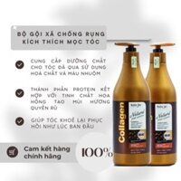 Gội xả ngăn rụng tóc Kolin Sky công nghệ mỹ - Kích thích mọc tóc cho nữ - Women