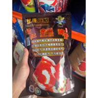 Gold Fish Ryukin