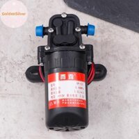 Goldensilver DP-521 Bền 12V 70PSI 3.5L / phút Máy Bơm Nước Điện Nông Nghiệp Micro Áp Lực Cao Màng Rửa Xe Máy Bơm Nước VN