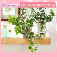 Gonaments 4 Cây Trellis Đa Năng Sáng Tạo Khu Vườn Nhỏ Kim Loại Lưới Trellis cho Cây Leo Hoa Rau Quả Dây Leo Hỗ Trợ