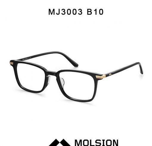 Gọng kính Molsion MJ3003