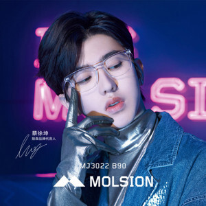 Gọng kính Molsion MJ3022