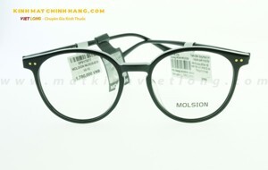 Gọng kính Molsion MJ3030