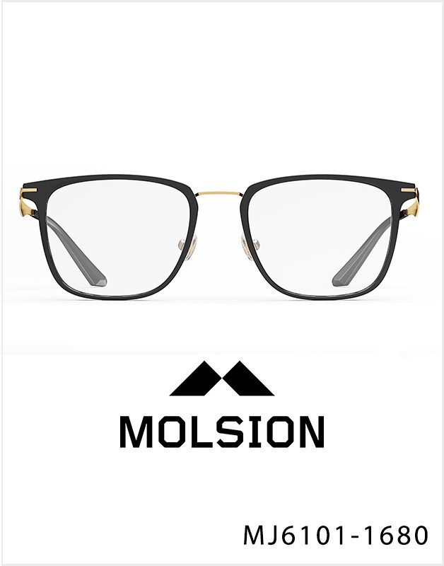 Gọng kính Molsion MJ6101