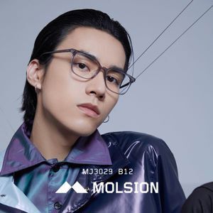 Gọng kính nam Molsion MJ3029