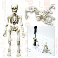 Goo Mini Skeleton Nhân Vật Hành Động Đầu Lâu Con Người Mô Hình Đồ Chơi Tượng Halloween Đạo Cụ Đáng Sợ