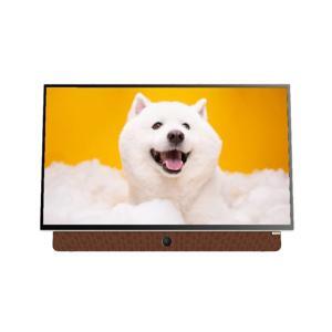 Google Tivi Coocaa 24 inch Full HD 24LP6000G