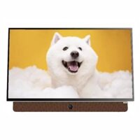 Google Tivi di động Coocaa 2K 24 inch 24LP6000G