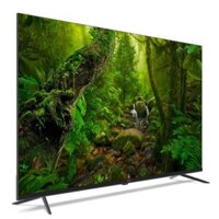Google Tivi Philips QLED 4K 55 inch 55PQT8169/74