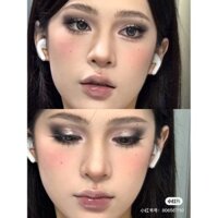 Gothic tối Kính vạn hoa Eyeshadow Palette bão chim chòm sao đen hoa nhài lạnh Brew nâu sao Eyeshadow trang điểm công cụ
