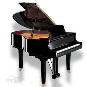 Đàn Grand Piano Yamaha C1 PE - Piano cơ