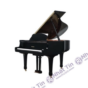 Đàn Grand Piano Yamaha C2 PE - Piano cơ