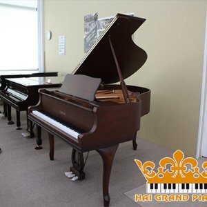 Đàn Grand Piano Yamaha C2 PE - Piano cơ