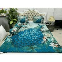 Grap thun lạnh 5d m8 thêm 1 ôm + mền