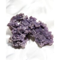 GRAPE AGATE ( MÃ NÃO NHO )