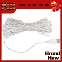 Grocerybazaar String Light Multicolor String Light Outdoor for Wedding