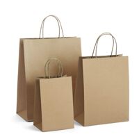 GSSUSA Paper Bags 5x3x8& 8x4.25x10& 10x5x13 50 Pcs Each, Gift Bags, Kraft Bags,Shopping Bags with Handles,Craft Bags, Merchandise Bags, 100% Recycl...