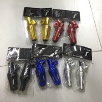 Gù chống đổ sau Rizoma 1 cặp Tân Thành