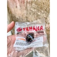 Gù Zin Yamaha PKL Indo