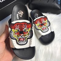 Gucci hổ trắng